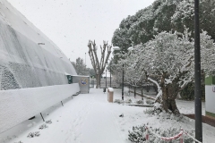 Inverno in Polisportiva 2000